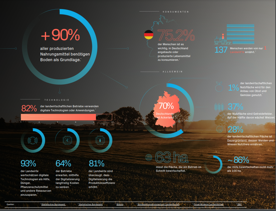 Image displaying the marketing work journey of Veronica Pirlea